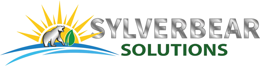 Sylver bear solutions